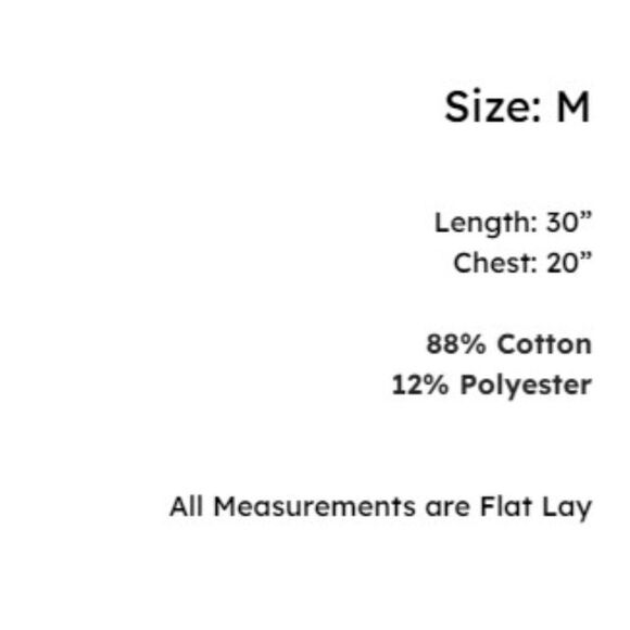 Fanatics NFL Pro Line New England Patriots Super Bowl LIII Champions T-Shirt M - Picture 6 of 6